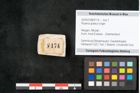 Foto (Objekt + Etikett) von Royena graeca Unger (NHMW-GEO-2024-0188-8174)